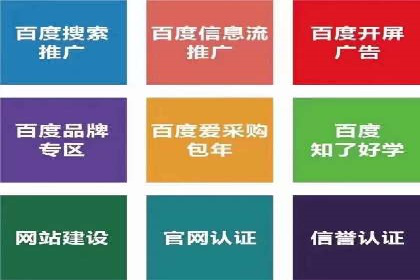 SEM托管公司成功案例：助力企业品牌提升